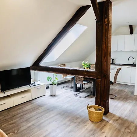 Sumavsky Dvur Apartment *